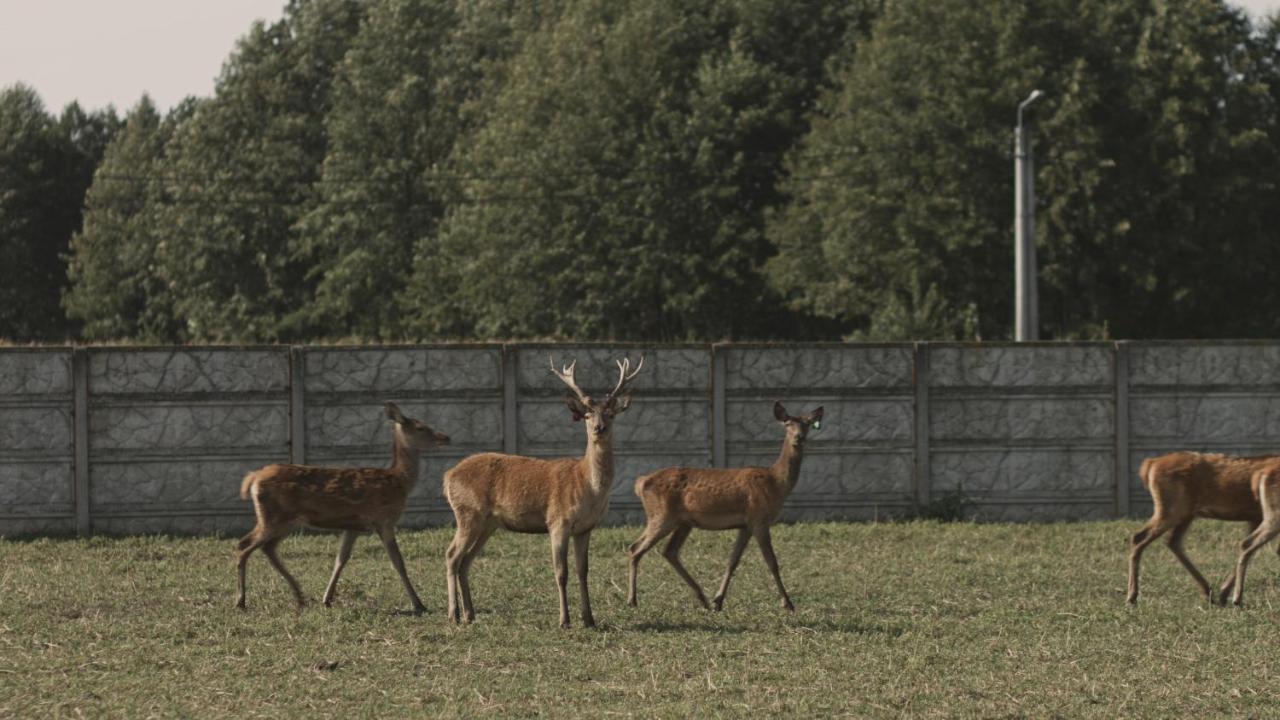 Tatarska Zagroda - Agroturystyka Dolina Baryczy Noclegi - Domek Jelonek Krosnice Exteriör bild